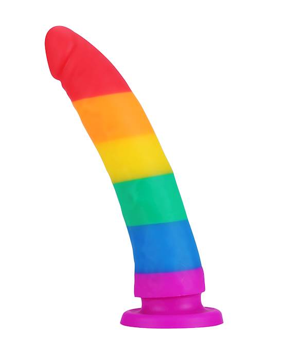 Nood Colours Rainbow Dildo