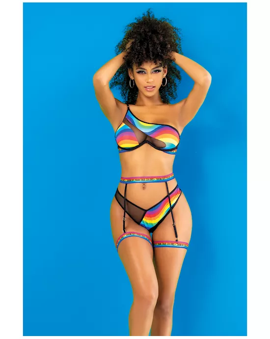 Pride One Shoulder Top, Garter Belt & Panty Black Prints L/xl