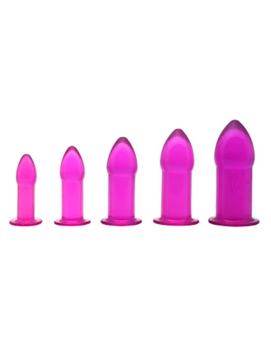 5 Piece Anal Trainer Set Purple