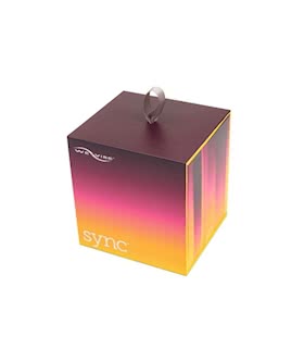 We-vibe Sync Purple