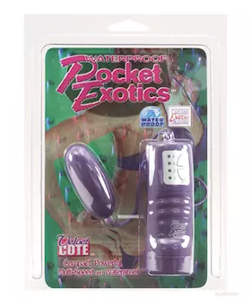 Pocket Exotics Bullet Waterproof Purple