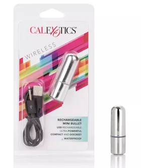 Rechargeable Mini Bullet Silver