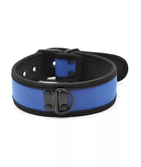 Plesur Neoprene Puppy Collar  Blue